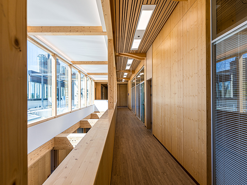 Interior Solidum Wood Wall Decorative Panels