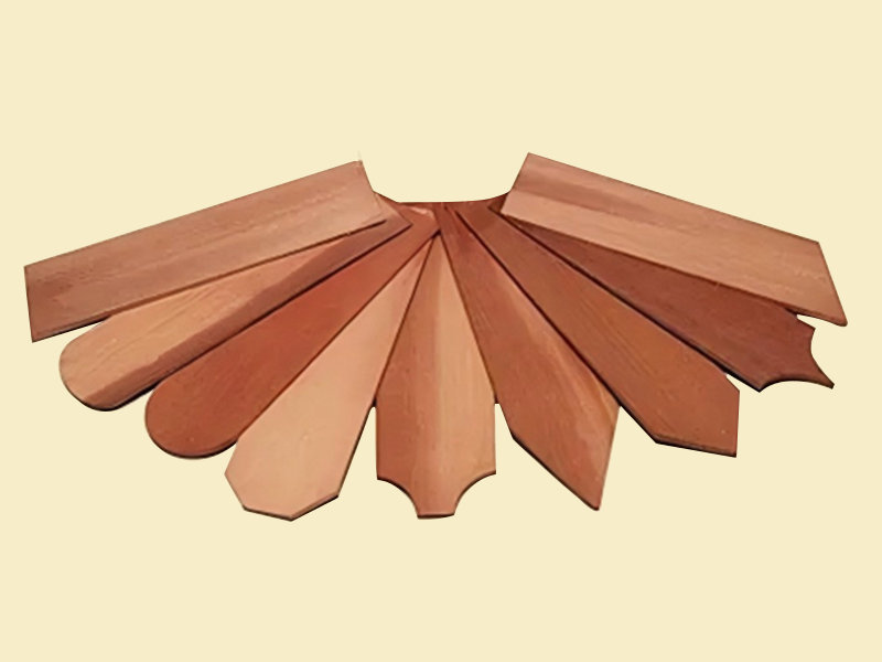 Red Cedar musculo